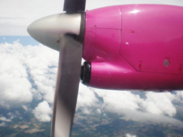 P7230107_resize.JPG
